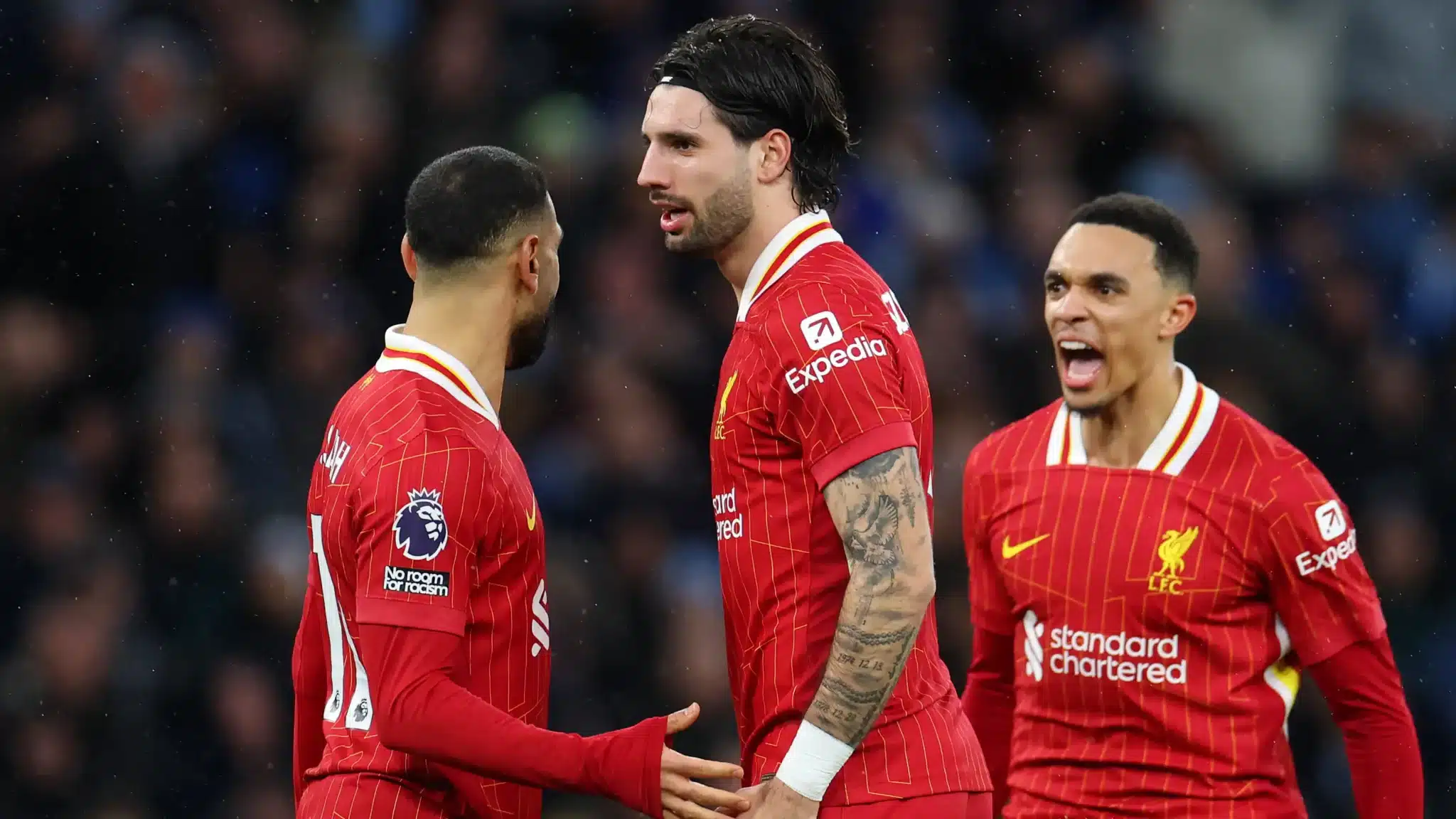 brighton - liverpool