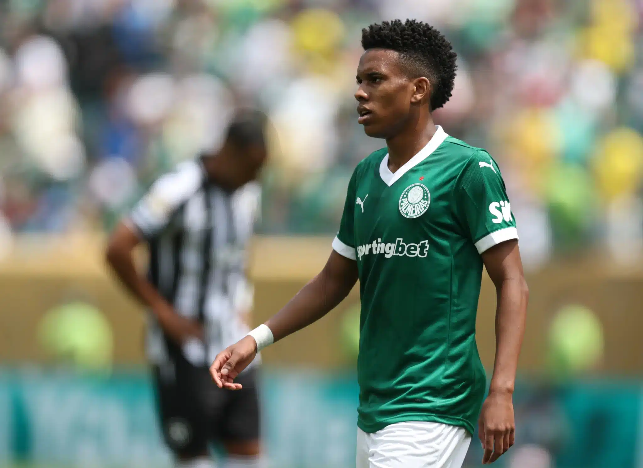 palmeiras sp - chelsea