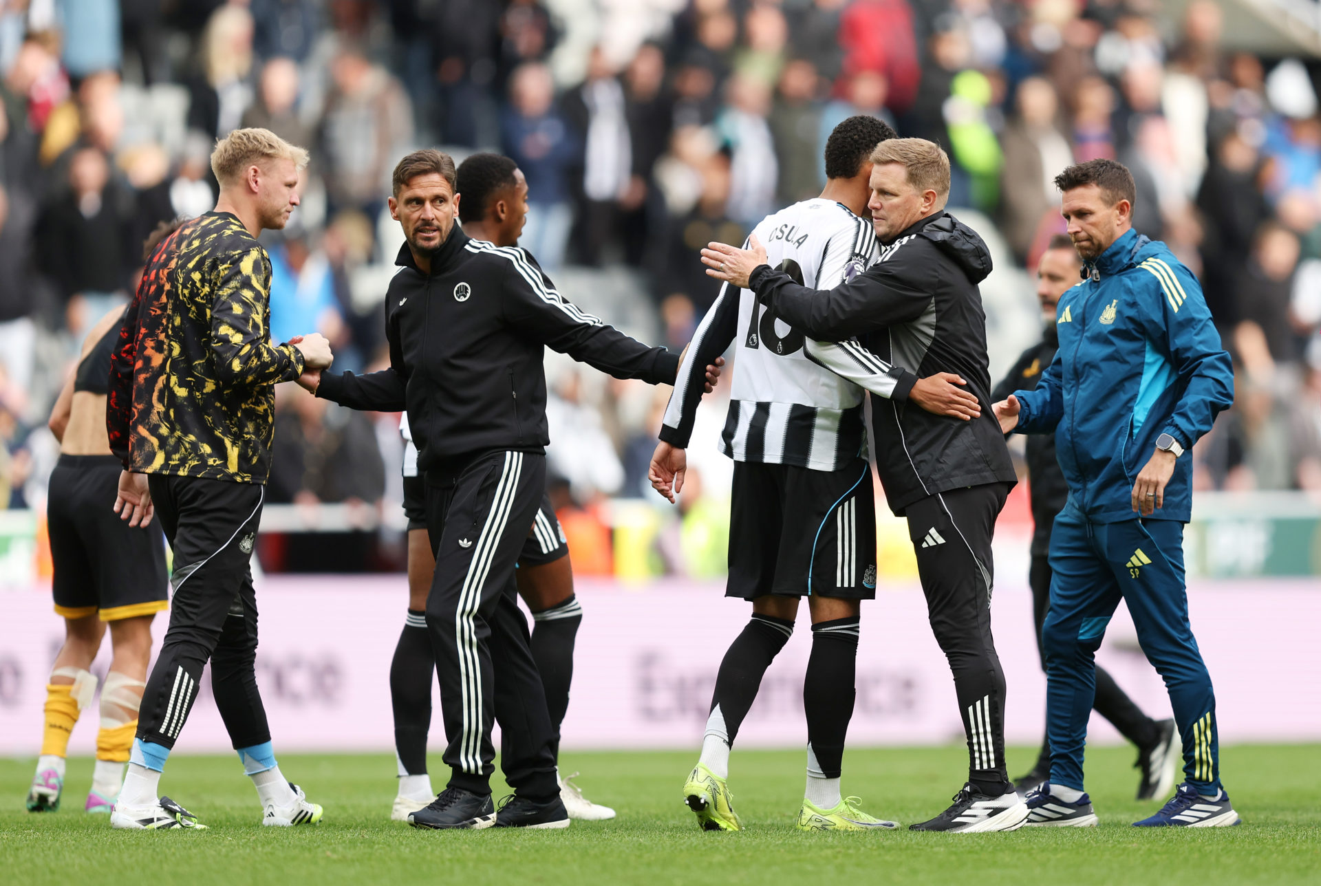 newcastle united vs bradford city